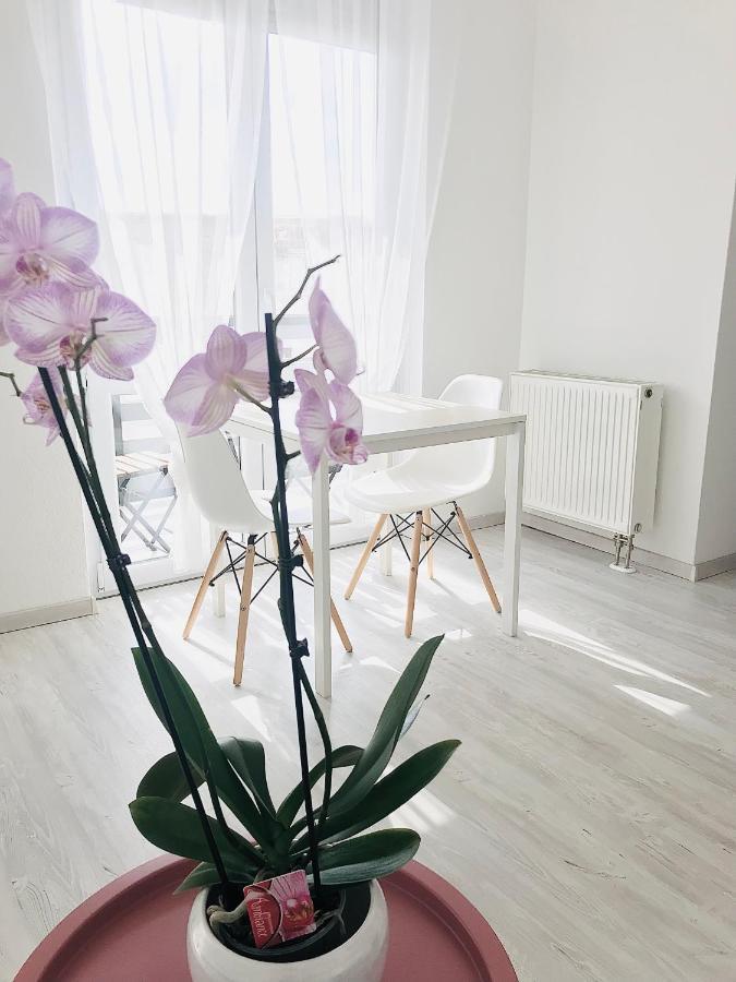 Belvárosi Stúdió Apartman Kecskemét Esterno foto